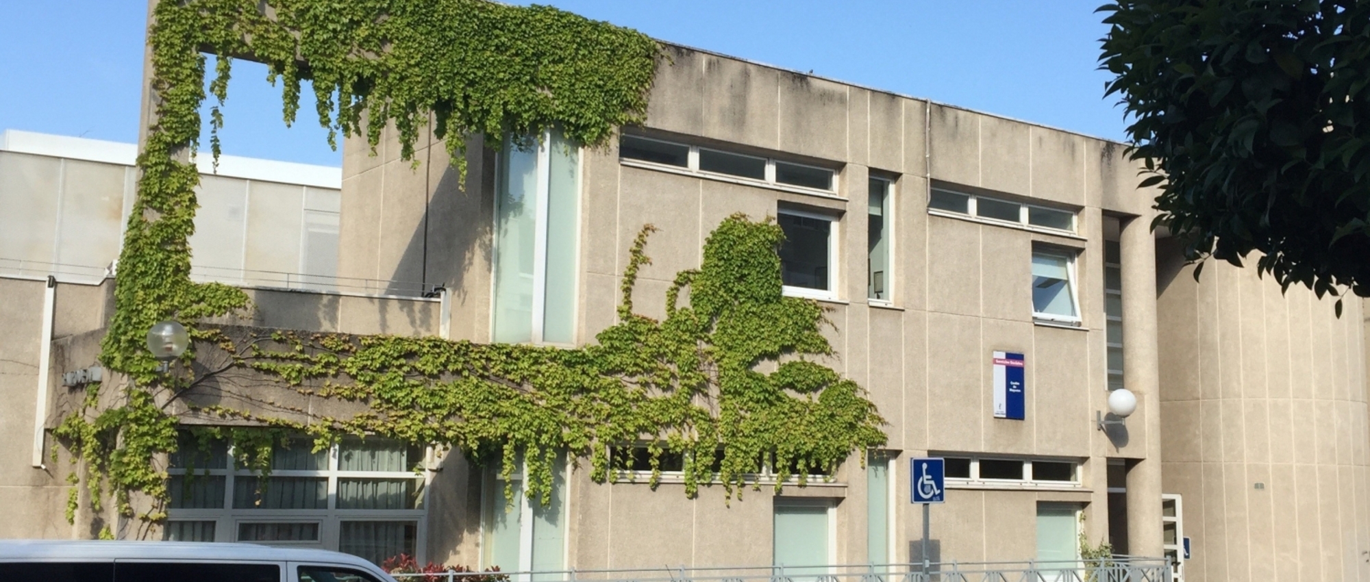 CENTRO DE MAYORES LA ROSALEDA